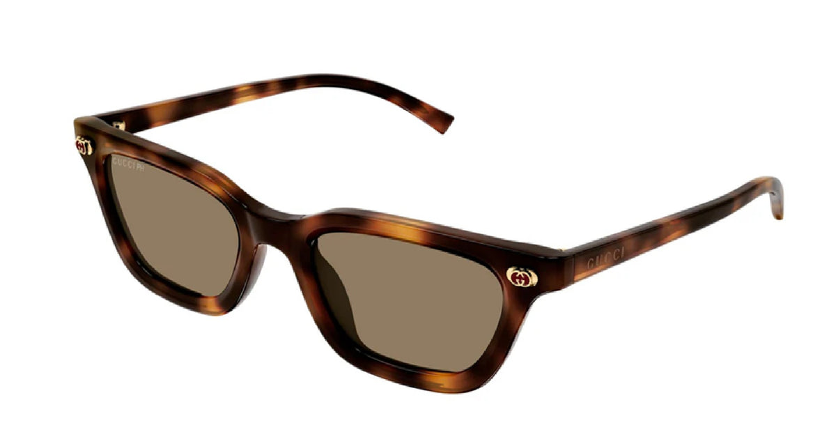 Gucci GG1944S-006 — Gafas de sol havana (lente marrón fotocromática)