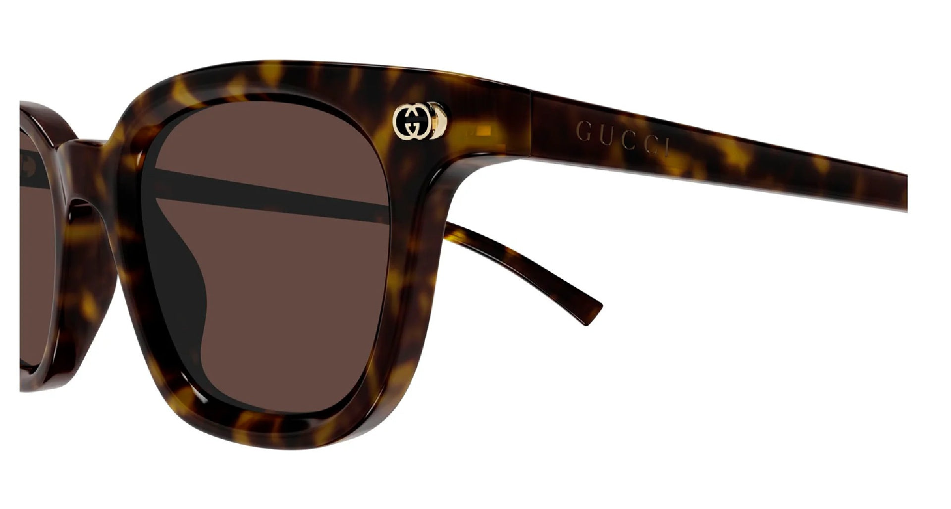 Gucci GG1946S-002 — Gafas de sol havana (lente marrón)
